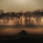 natura urbana natura urbana