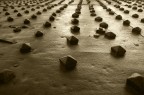 Allineati e coperti.. Allineati e coperti..