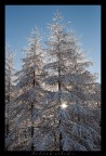 raggi di luce raggi di luce