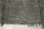 Neve al parco 2 Neve al parco 2