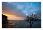 tramonto tramonto