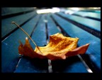 autunno a riposo autunno a riposo