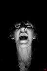 The scream The scream
