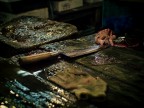 Tsukiji fish market - Tokyo Tsukiji fish market - Tokyo