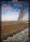 winter winter