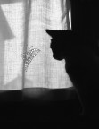 L'attesa L'attesa