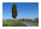La strada 1 La strada 1