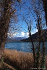 Lago di Spinone Lago di Spinone