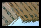 Riflessi in Venezia (LI)