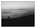 ...IN THE VALLEY...