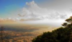 erice erice