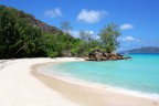 In Paradise In Paradise