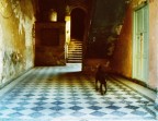 La solitudine dei vecchi palazzi.. La solitudine dei vecchi palazzi..