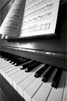 Il Pianista Il Pianista