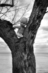 L'albero della vita L'albero della vita