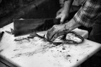 A Piscaria - Reportage A Piscaria - Reportage