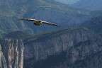 VOLO IN VERDON VOLO IN VERDON