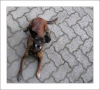 Amico (con la A maiuscola) !