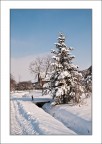 Quel giorno con la neve... Quel giorno con la neve...
