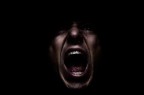 The scream The scream