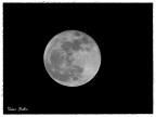 Luna
Canon 7d - 135 mm (216 fe) - 1/640 - f.5.6 iso 100 -Crop 200%-