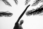 pace, impossibile preparare le armi pace, impossibile preparare le armi