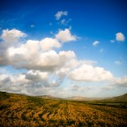 E' la prima volta che mi dedico a foto di paesaggio... e sto scoprendo un nuovo mondo che mi piace moltissimo!
Durante le feste natalizie ho avuto un p� di tempo libero per potermi dedicare a questo tipo di fotografia.
Sono agli inizi... critiche e suggerimenti ben accetti!!

Luogo: Sicily!