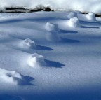 impronte ... al negativo