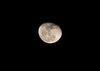 Moon Moon