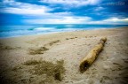 Il Mare d'Inverno Il Mare d'Inverno