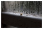 bricciole di vita bricciole di vita