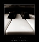 primo Piano