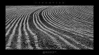 Hypnotics Hypnotics