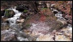 scorcio di un torrente scorcio di un torrente
