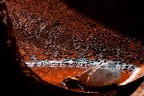 Esperimenti di Luce Esperimenti di Luce