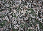 Autunno Autunno
