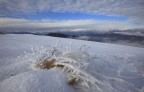 Questo rigido inverno Questo rigido inverno