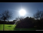 Anteprima di Primavera Anteprima di Primavera
