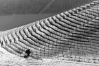 ..- AnfiTeatro -.. ..- AnfiTeatro -..