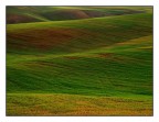 ...ONDE VERDI... ...ONDE VERDI...