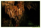 Scattata nelle suggestivi grotte di Castelcivita (SA); la foto non � proprio perfetta, visto che erano i primi periodi che scattavo e con molta inesperienza.