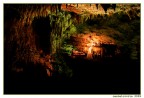 Scattata nelle suggestivi grotte di Castelcivita (SA); la foto non � proprio perfetta, visto che erano i primi periodi che scattavo e con molta inesperienza.