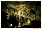 Scattata nelle suggestivi grotte di Castelcivita (SA); la foto non � proprio perfetta, visto che erano i primi periodi che scattavo e con molta inesperienza.