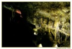 Scattata nelle suggestivi grotte di Castelcivita (SA); la foto non � proprio perfetta, visto che erano i primi periodi che scattavo e con molta inesperienza.