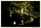 Scattata nelle suggestivi grotte di Castelcivita (SA); la foto non � proprio perfetta, visto che erano i primi periodi che scattavo e con molta inesperienza.