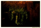 Scattata nelle suggestivi grotte di Castelcivita (SA); la foto non � proprio perfetta, visto che erano i primi periodi che scattavo e con molta inesperienza.