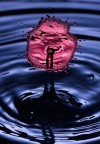 drops drops