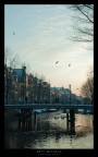 amsterdam amsterdam