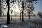 una mattina al Parco del Trenno una mattina al Parco del Trenno