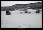 casetta solitaria casetta solitaria